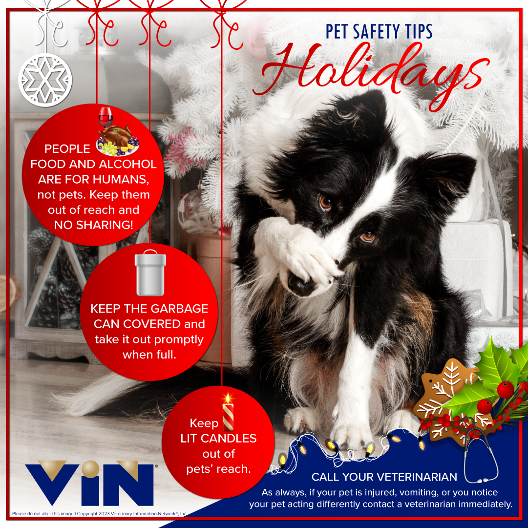 Winter Safety